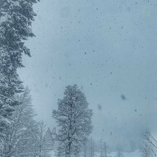 РРНП открыт для посещения 